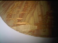 IMG00962-20140409-1340.jpg