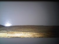 IMG00972-20140409-1342.jpg