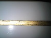 IMG00973-20140409-1342.jpg