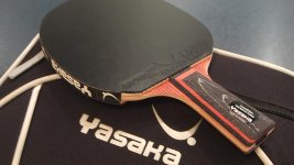 Yasaka back.jpg Yasaka back.jpg