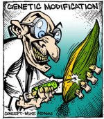 gmo1.jpg gmo1.jpg