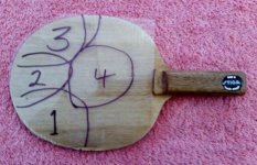 2014-11-22_Bat with numbers (499x322).jpg