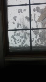 snow14.jpg snow14.jpg