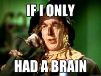 brain.jpg brain.jpg