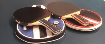 Carbonado pair.jpg