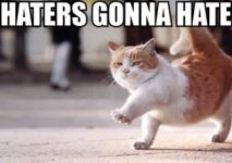31404-I-hate-everything-grumpy-cat-sY58.jpg