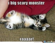 scary-cat_o_286130.jpg