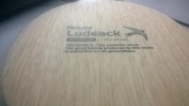 WP_20150908_007.jpg