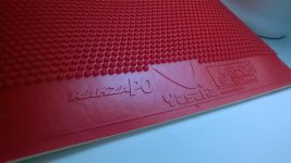 WP_20150910_005.jpg