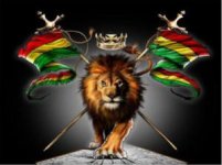 1344127304267842872rastafari lion wallpaper__yvt2-md.jpg