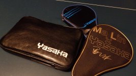 yasaka a.jpg yasaka a.jpg