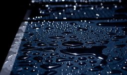 tt-wet.jpg tt-wet.jpg