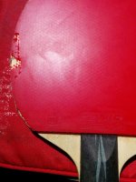 IMG_20151214_204300.jpg