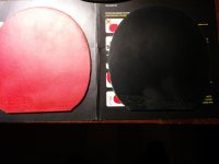 IMG_20151213_002842.jpg