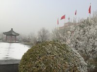 IMG_2983.jpg
