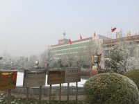 IMG_2984.jpg