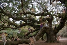 fairy_swarm_by_dragon_kiss-d2na79e.jpg fairy_swarm_by_dragon_kiss-d2na79e.jpg