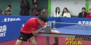 ma long viscaria.jpg