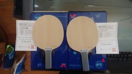 matched custom Viscaria ST 89 g.jpg