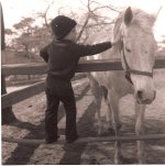 Petting Horse.jpg