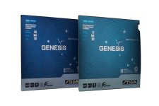Genesis-web.jpg
