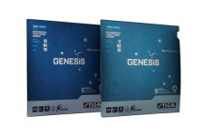Genesis-web.jpg Genesis-web.jpg
