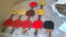 WP_20160304_001.jpg