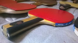 WP_20160304_002.jpg