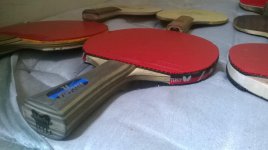 WP_20160304_004.jpg