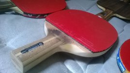 WP_20160304_005.jpg