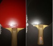bat front back.jpg
