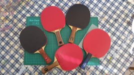 2016-04-29 16.30.44 (2)_5 bats.jpg