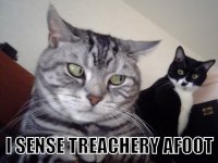 Treachery cat.jpg Treachery cat.jpg