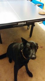 Practice partner.jpg Practice partner.jpg