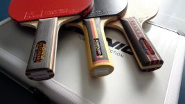 DTC Crest OCarbon handles.jpg DTC Crest OCarbon handles.jpg