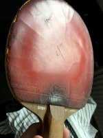 IMG_3023.jpg
