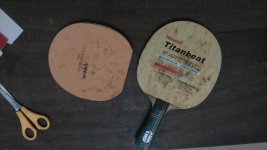 DSC_0911.jpg