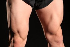 muscle4.jpg muscle4.jpg