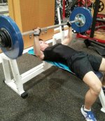 muscle14.jpg muscle14.jpg