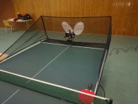 IMG-20151027-WA0006.jpg