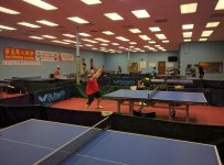 IMG-20160725-WA0002.jpg IMG-20160725-WA0002.jpg