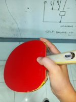 15368863_10211181699761411_2058334243_o.jpg 15368863_10211181699761411_2058334243_o.jpg