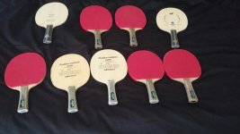 many viscarias.jpg