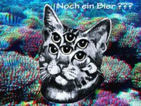 cat beer 3.jpg
