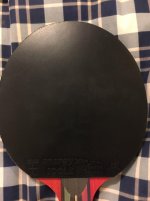 TT Bat 4.jpg TT Bat 4.jpg