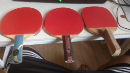 IMG_20170202_155316064.jpg
