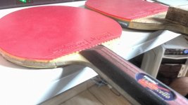 IMG_20170202_155353492.jpg
