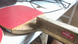 IMG_20170202_155358711.jpg