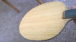 WP_20170413_007.jpg