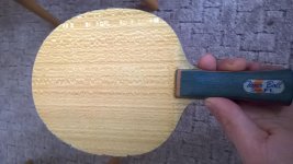 WP_20170413_006.jpg